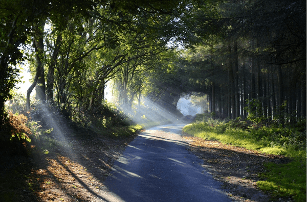 September-Morning-Light-Sam-Knight